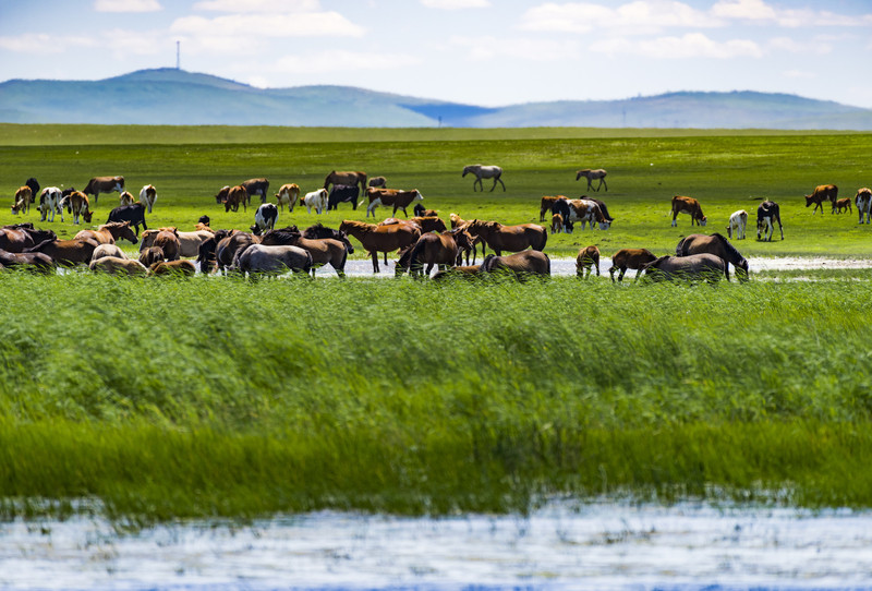 内蒙古赋，壮美河山，草原风情