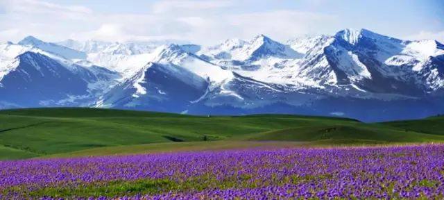 新疆之行，心之所向的深度感悟